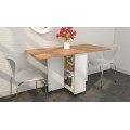  Folding Table