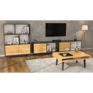 TV Group Teak & Dark Grey & White